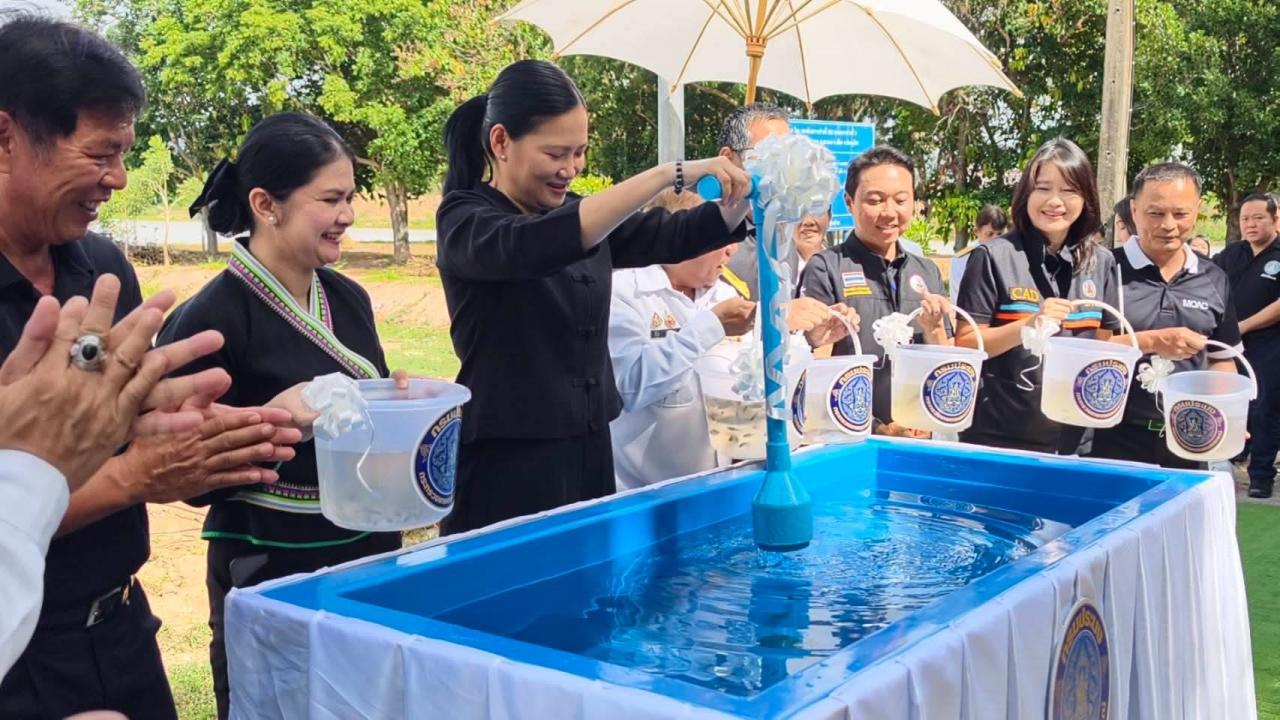 ภาพประกอบที่ 6