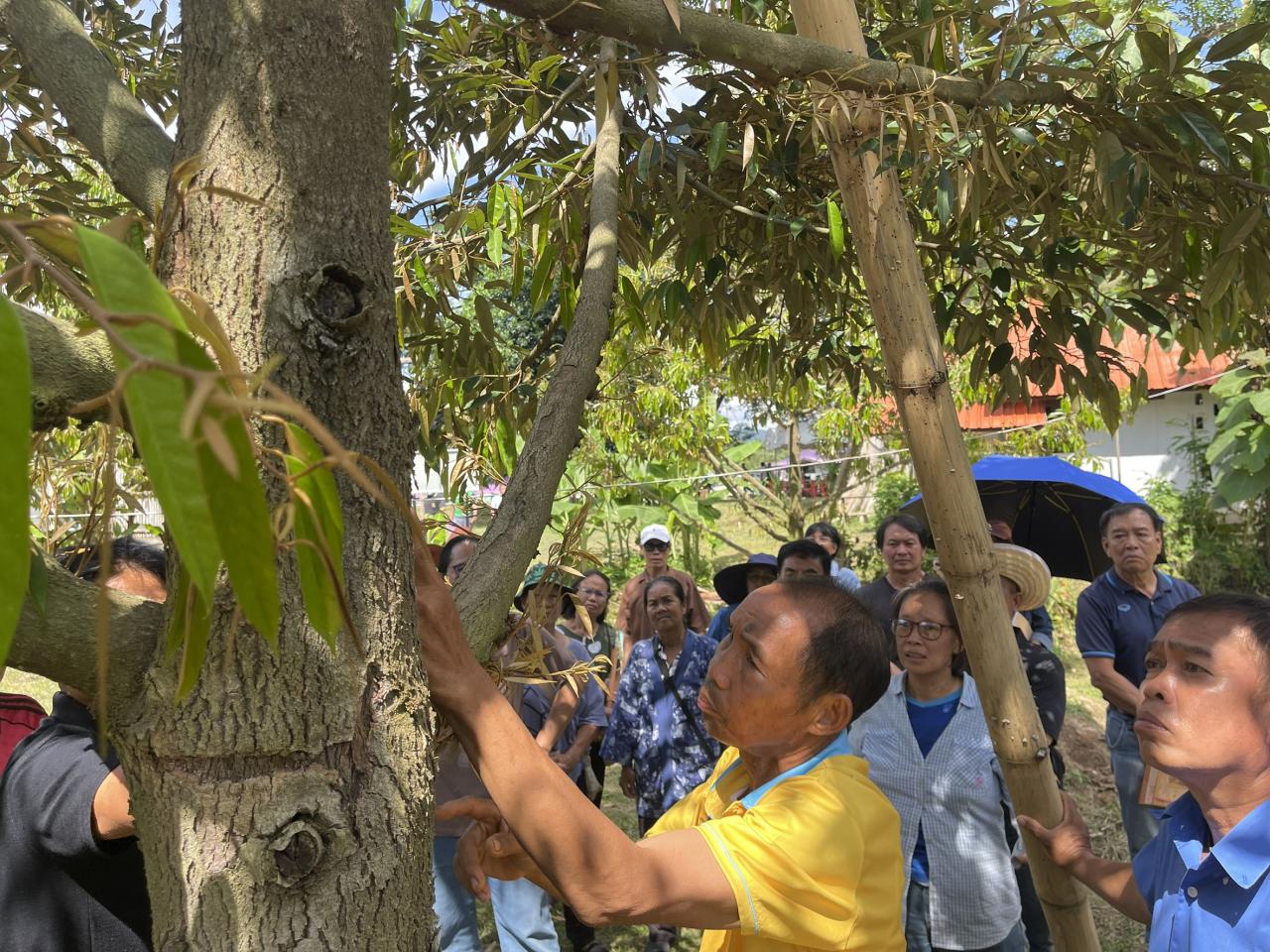 ภาพประกอบที่ 9
