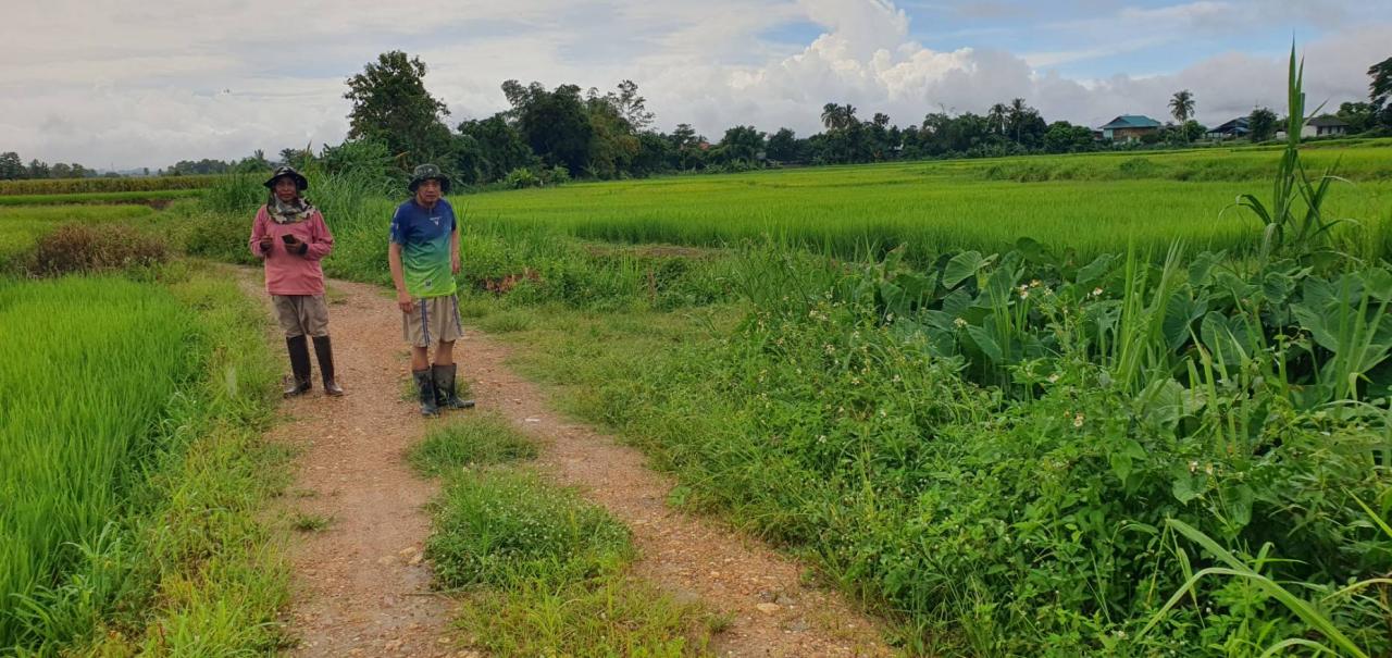 ภาพประกอบที่ 8
