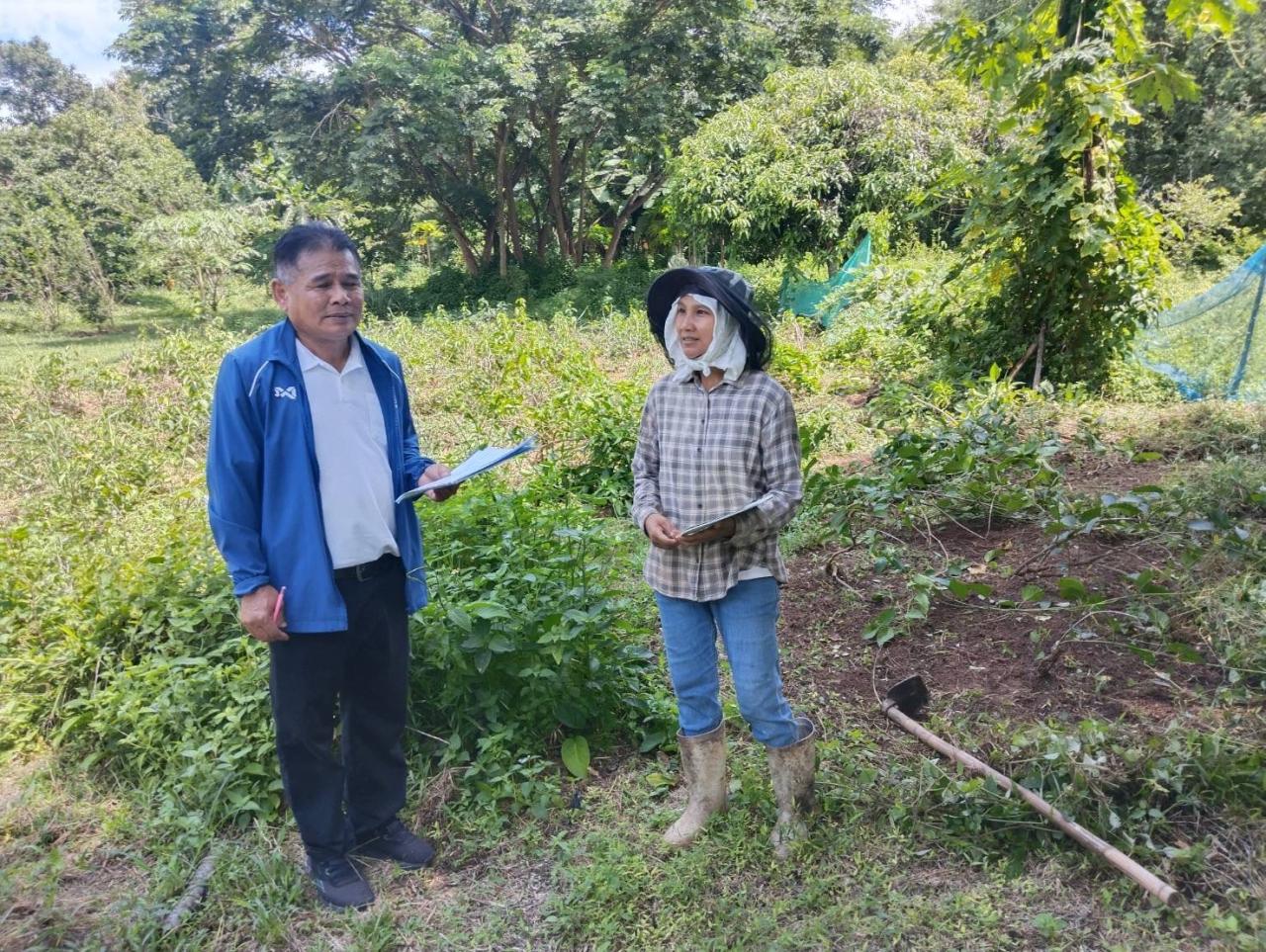 ภาพประกอบที่ 4