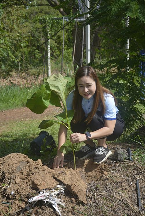 ภาพประกอบที่ 7