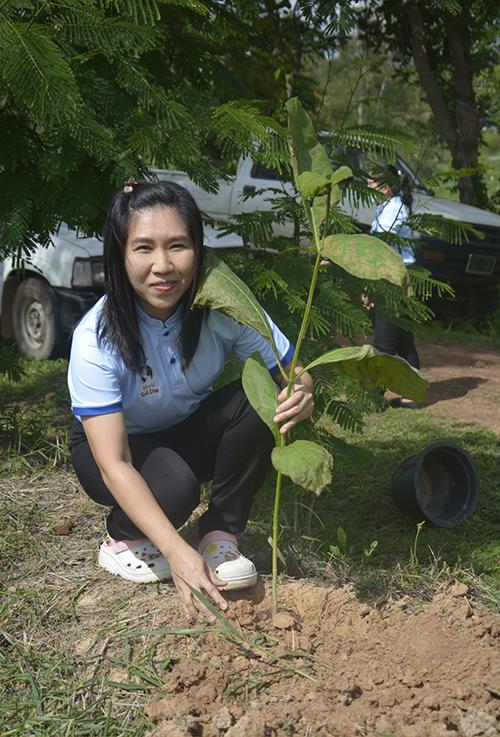 ภาพประกอบที่ 9