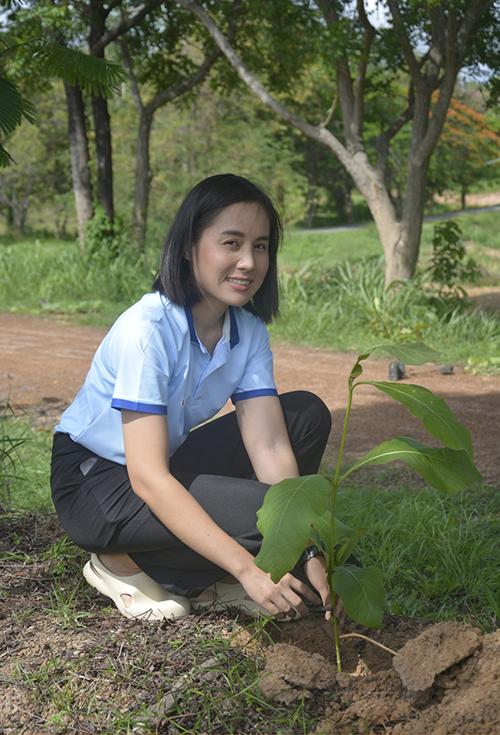 ภาพประกอบที่ 10