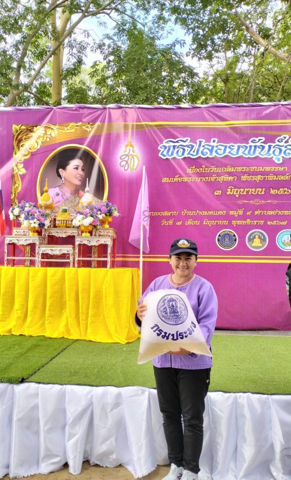 ภาพประกอบที่ 5