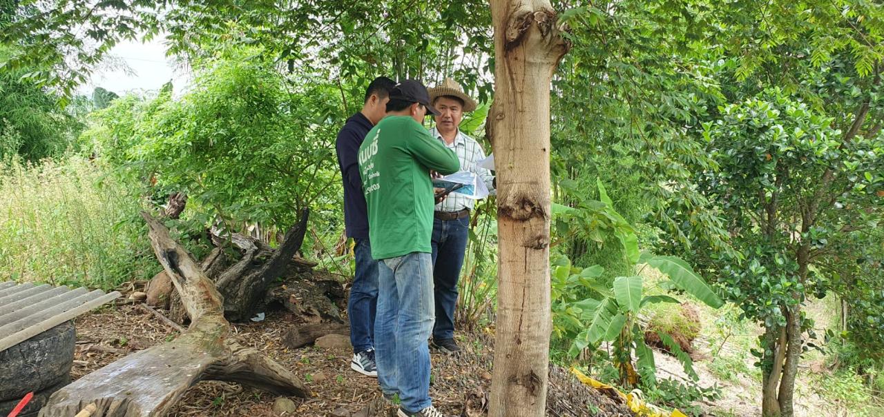 ภาพประกอบที่ 3