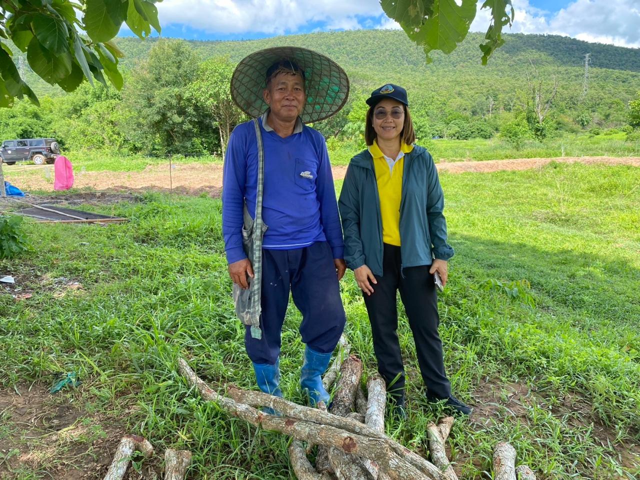 ภาพประกอบที่ 11