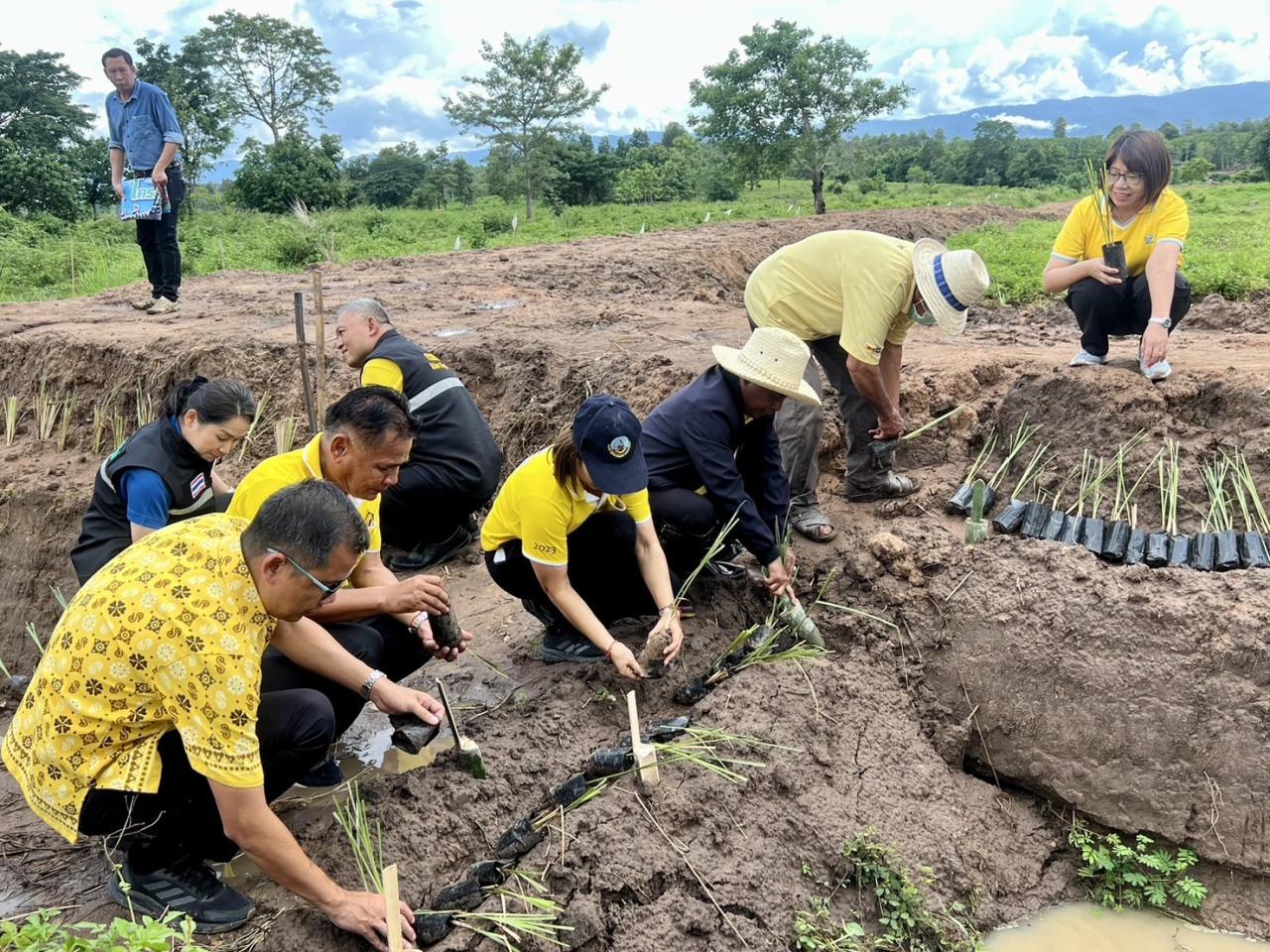 ภาพประกอบที่ 10