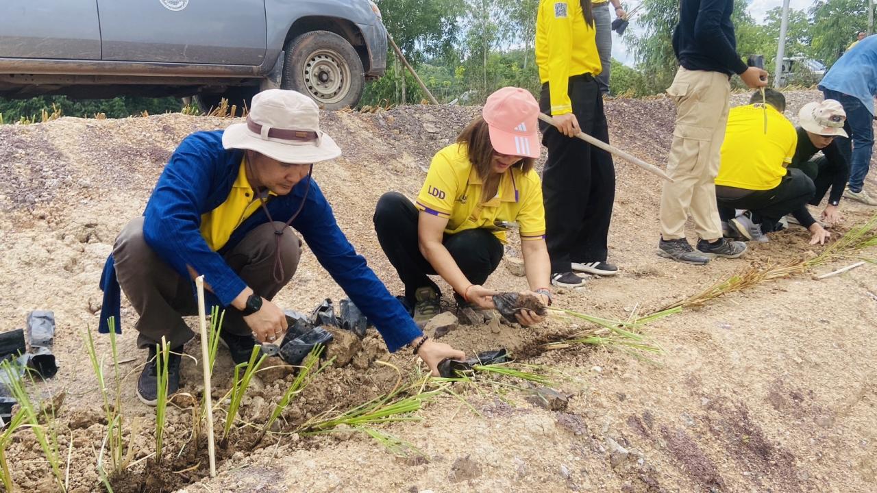 ภาพประกอบที่ 8