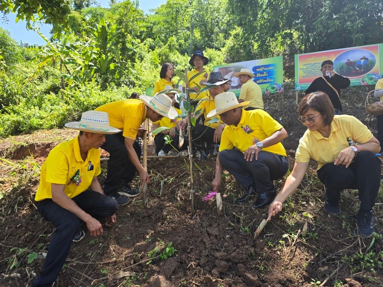 ภาพประกอบที่ 11