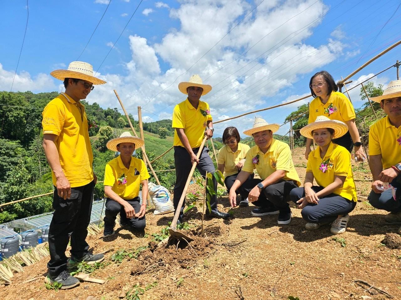 ภาพประกอบที่ 13