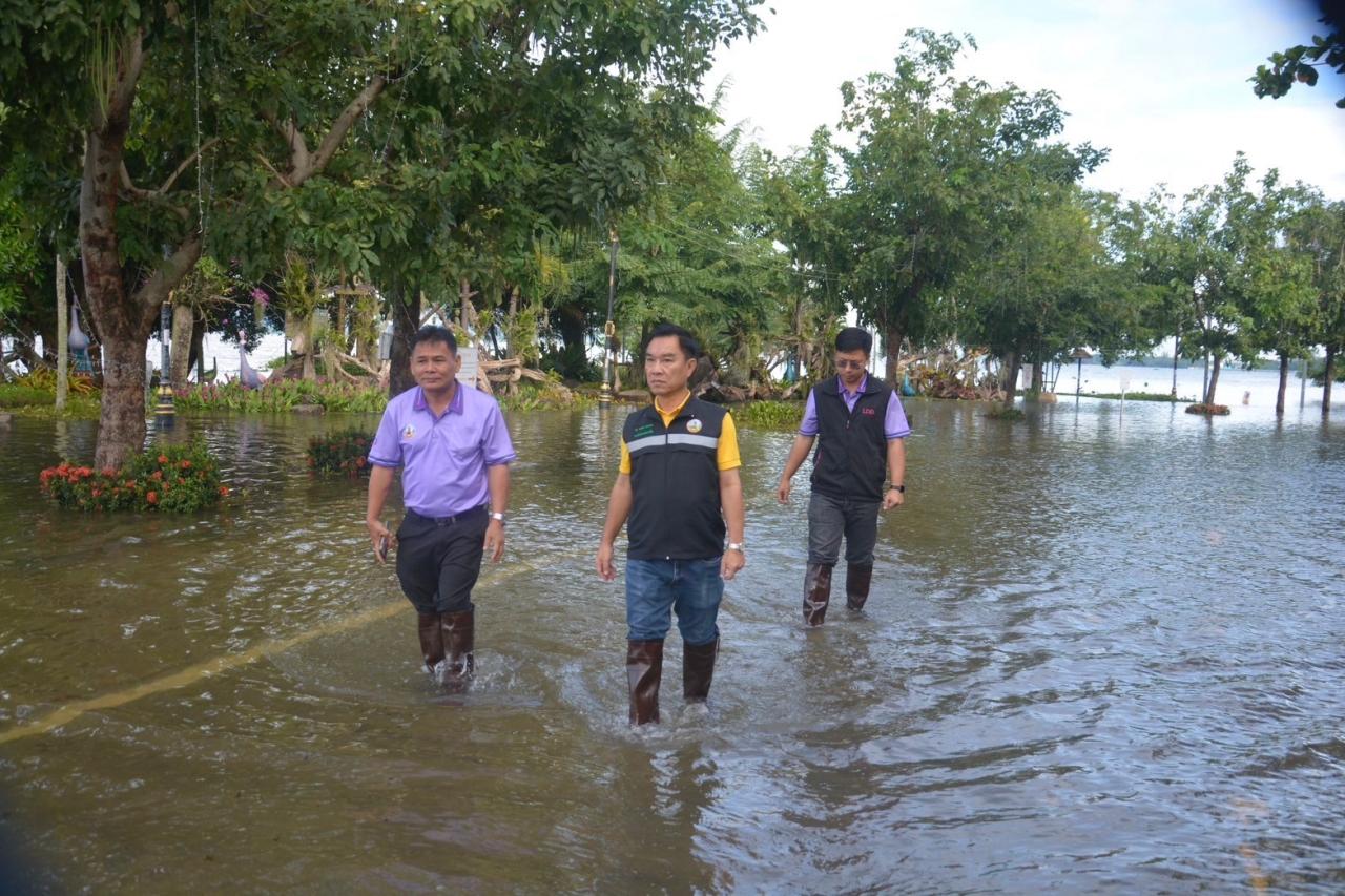 ภาพประกอบที่ 2