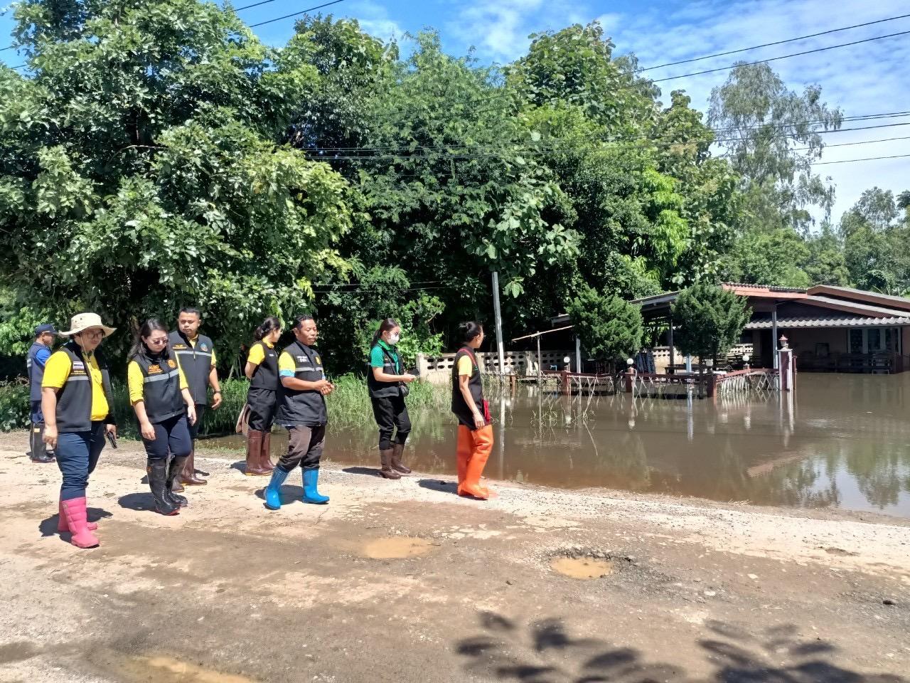 ภาพประกอบที่ 11