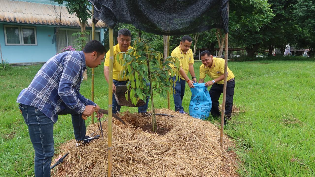 ภาพประกอบที่ 1