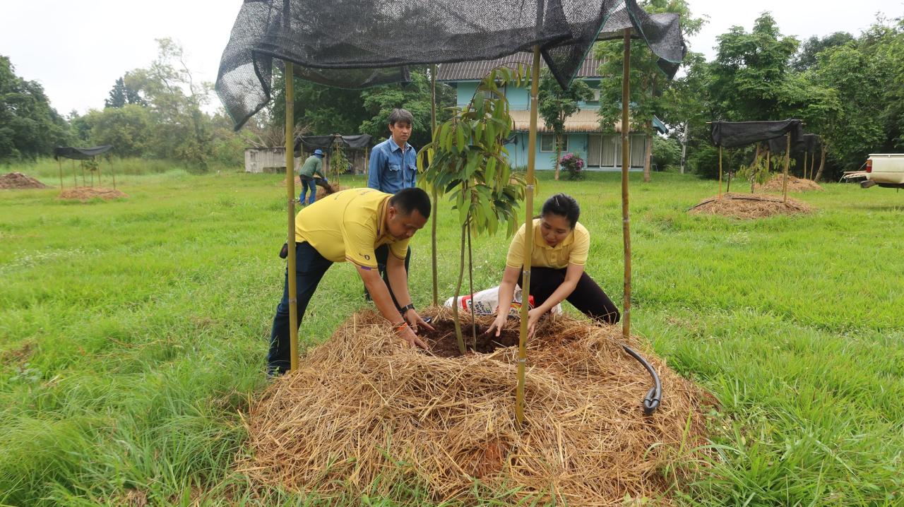 ภาพประกอบที่ 3