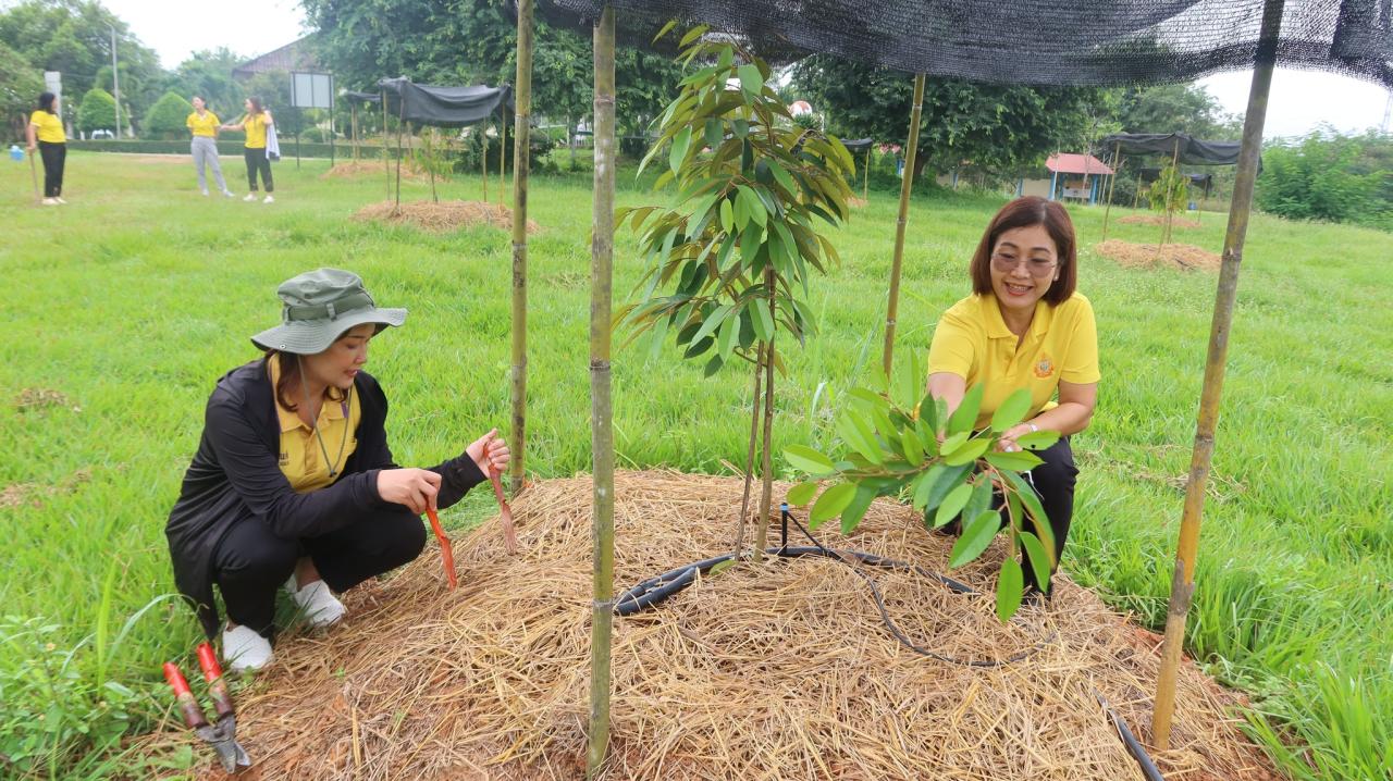 ภาพประกอบที่ 4