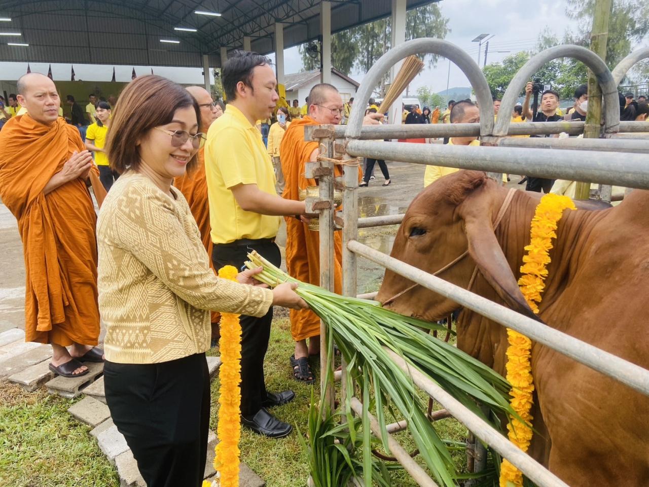 ภาพประกอบที่ 10