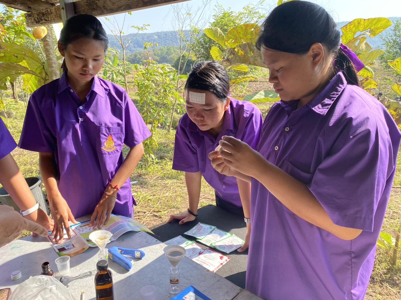 ภาพประกอบที่ 1