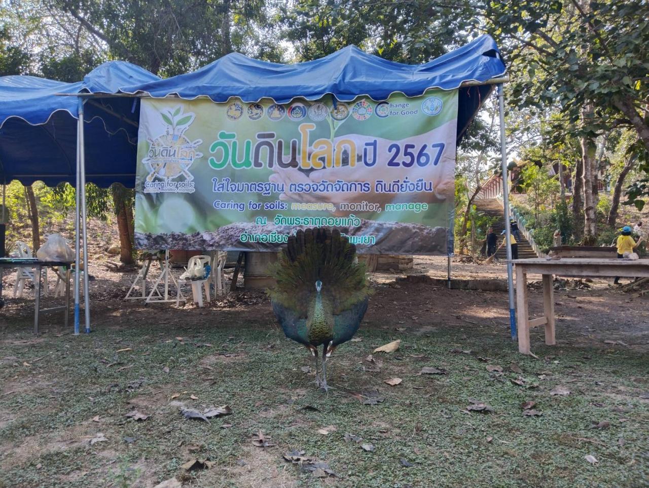 ภาพประกอบที่ 5