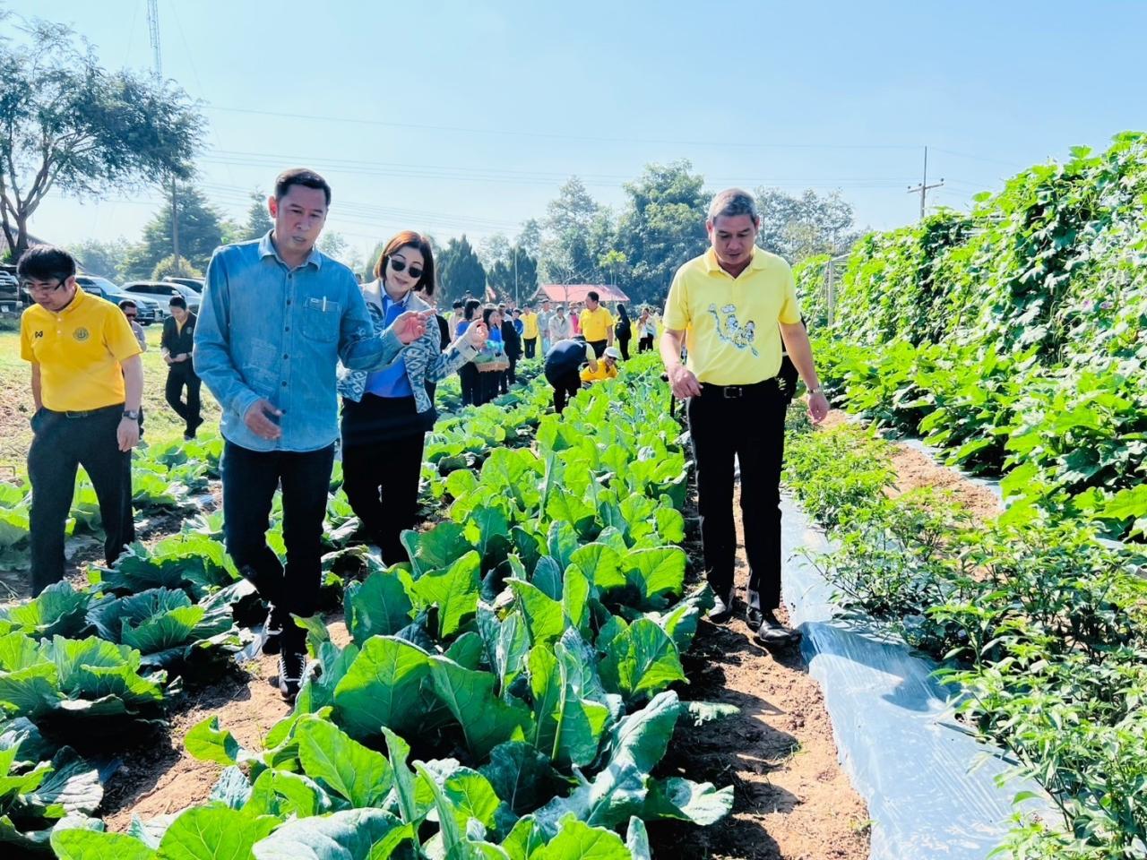 ภาพประกอบที่ 6