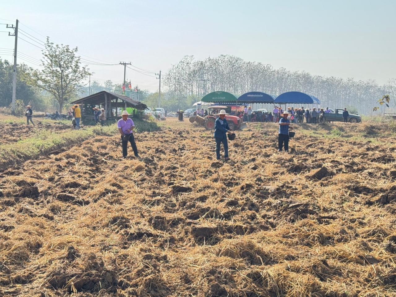 ภาพประกอบที่ 8