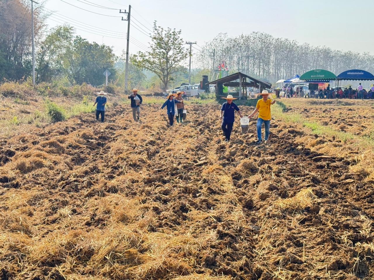 ภาพประกอบที่ 6