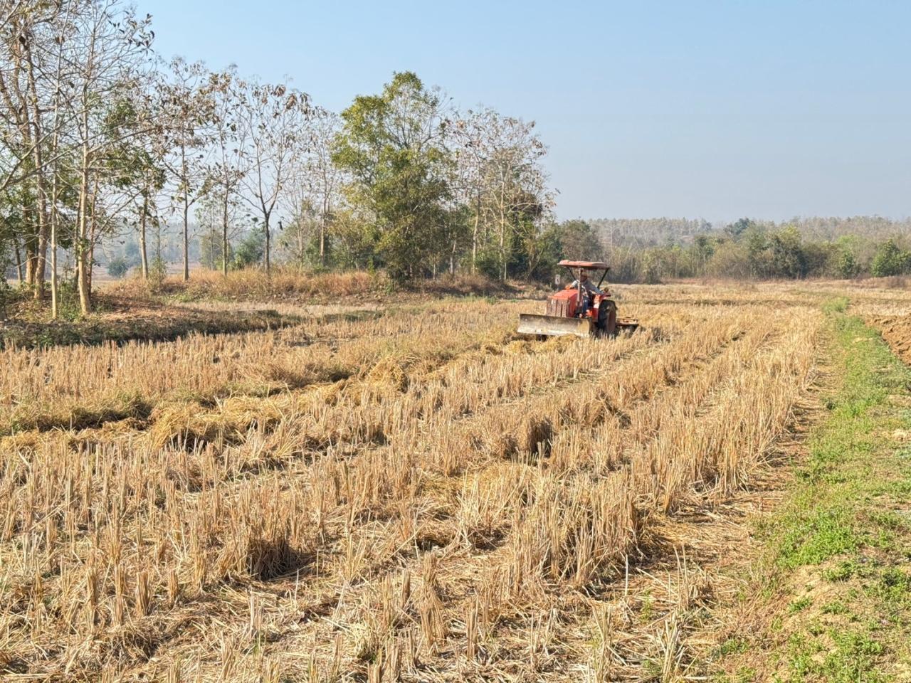 ภาพประกอบที่ 5