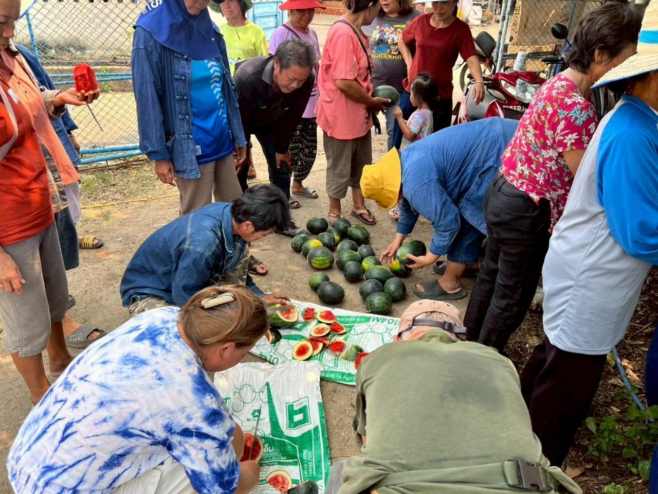 ภาพประกอบที่ 1