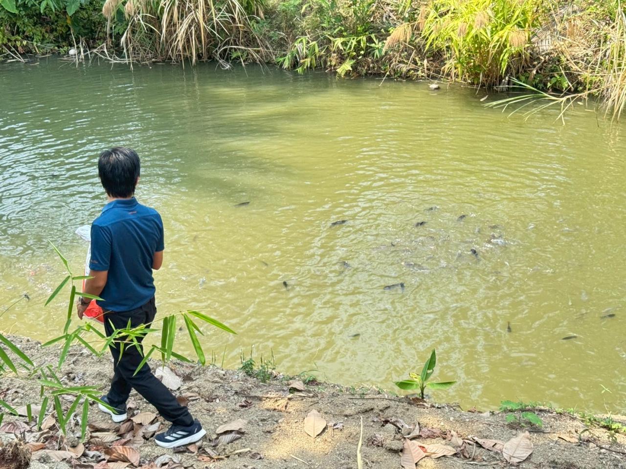 ภาพประกอบที่ 1