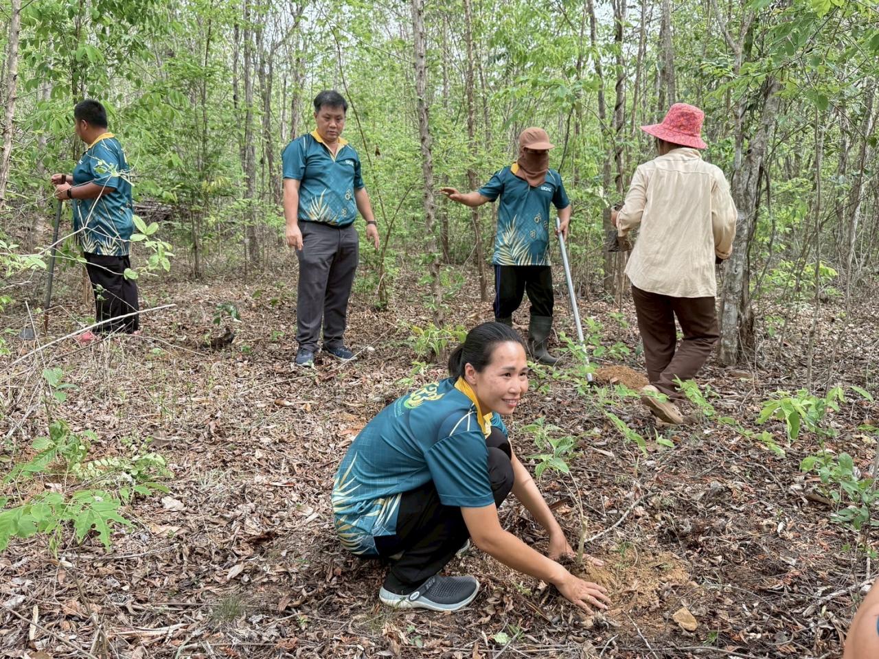 ภาพประกอบที่ 8