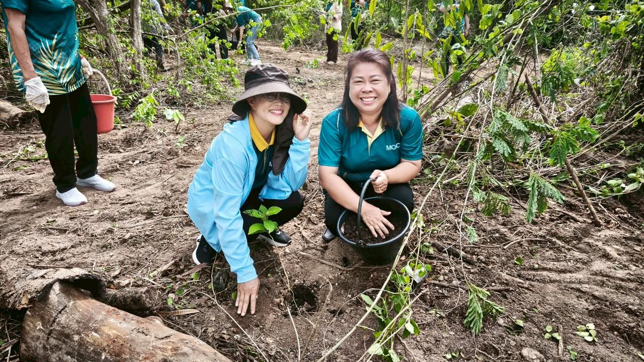 ภาพประกอบที่ 5