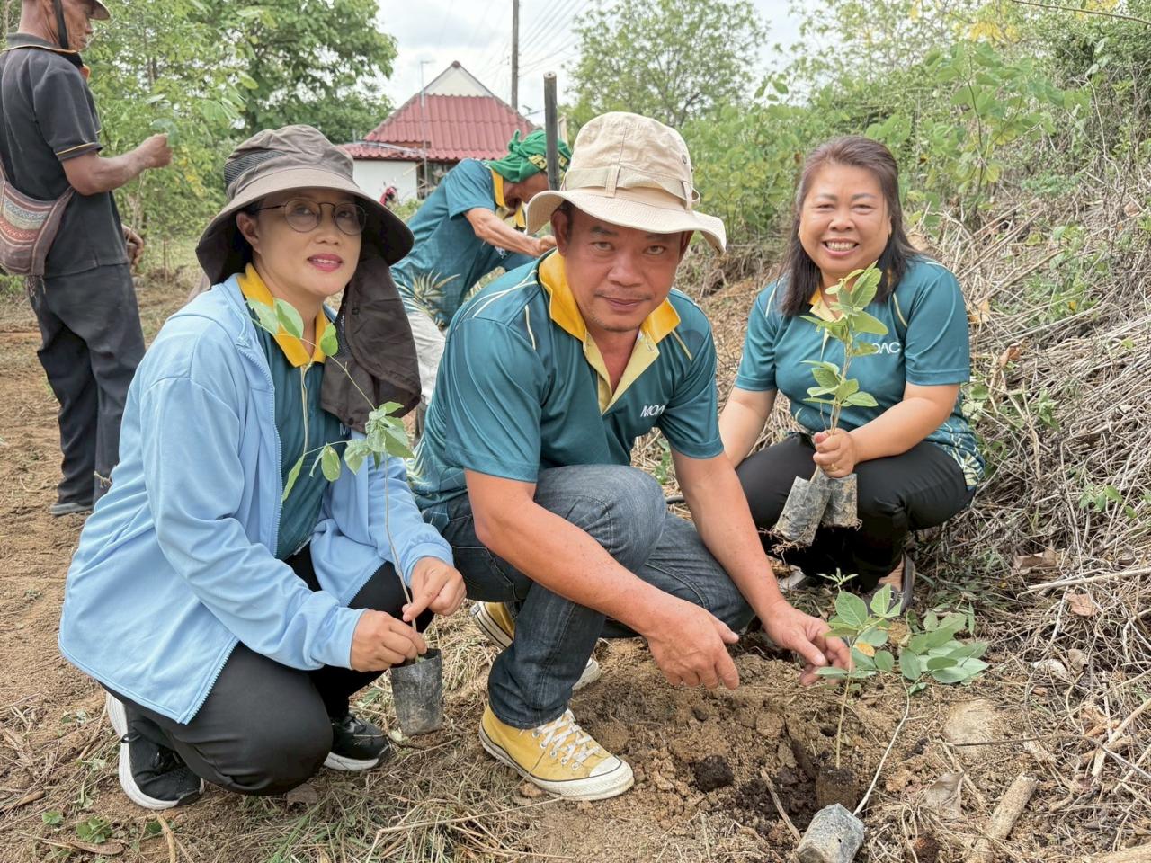 ภาพประกอบที่ 6