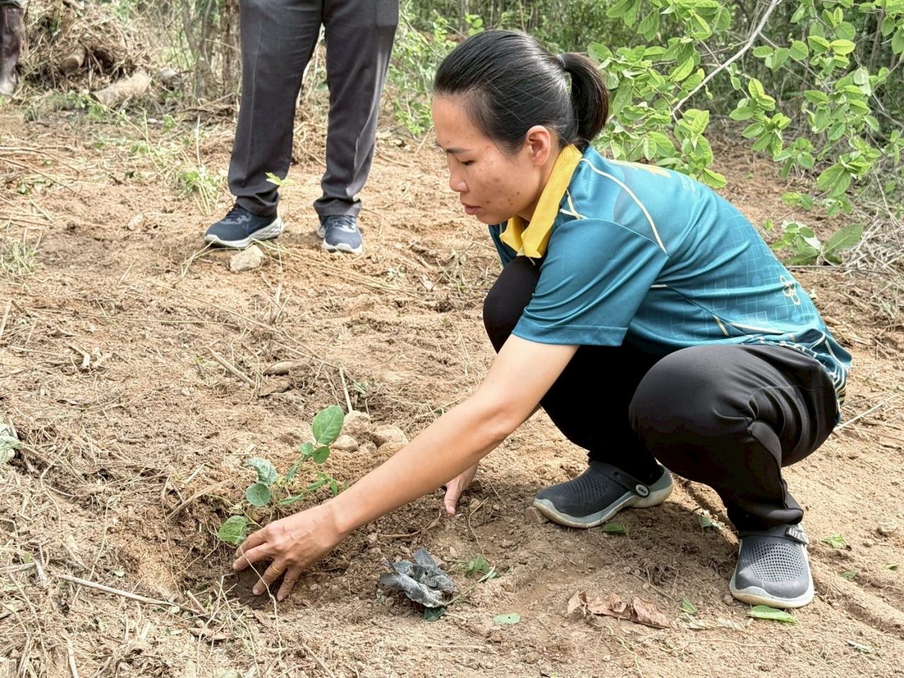 ภาพประกอบที่ 2