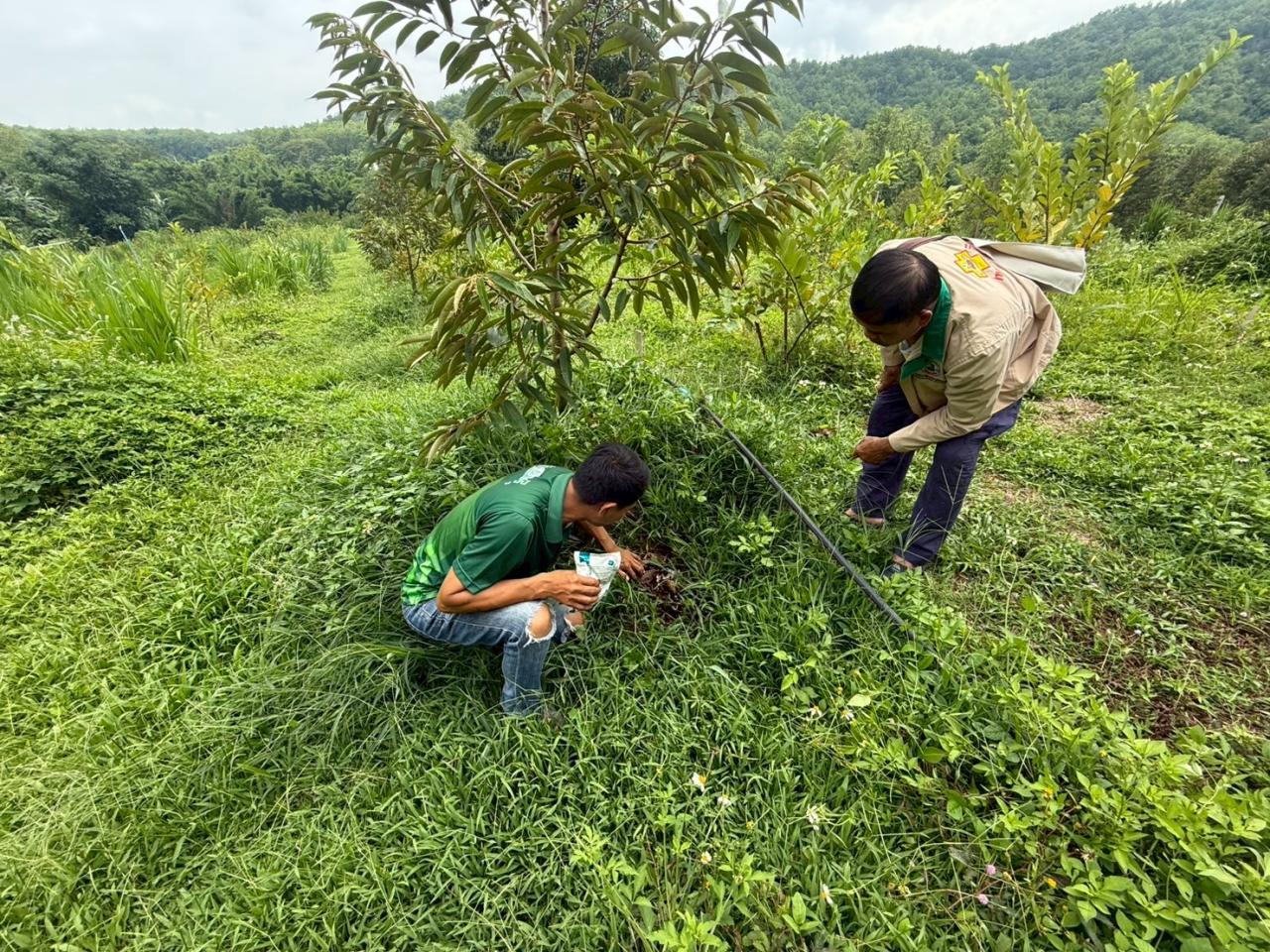ภาพประกอบที่ 1
