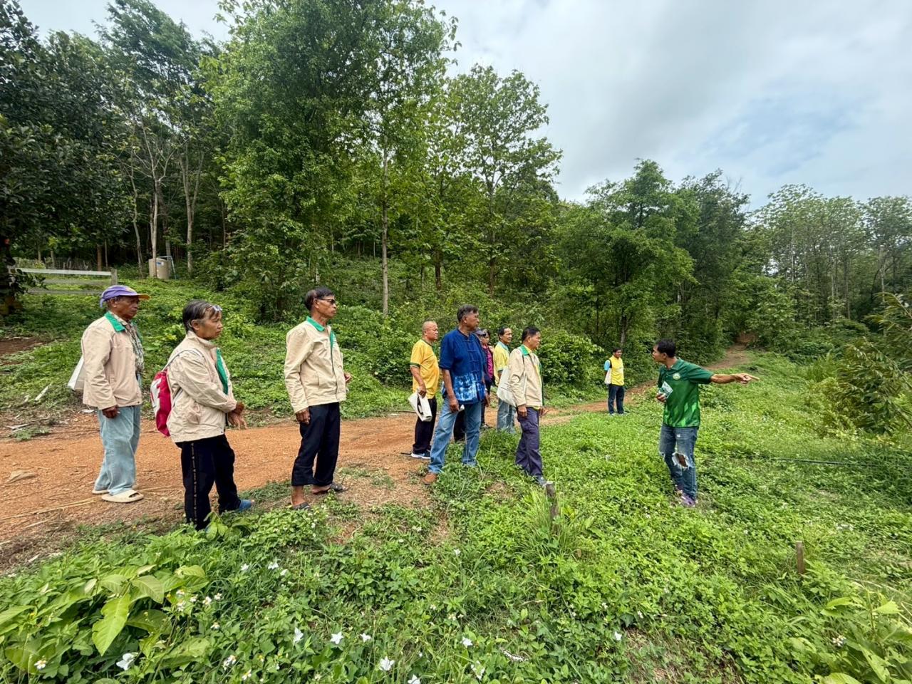 ภาพประกอบที่ 2
