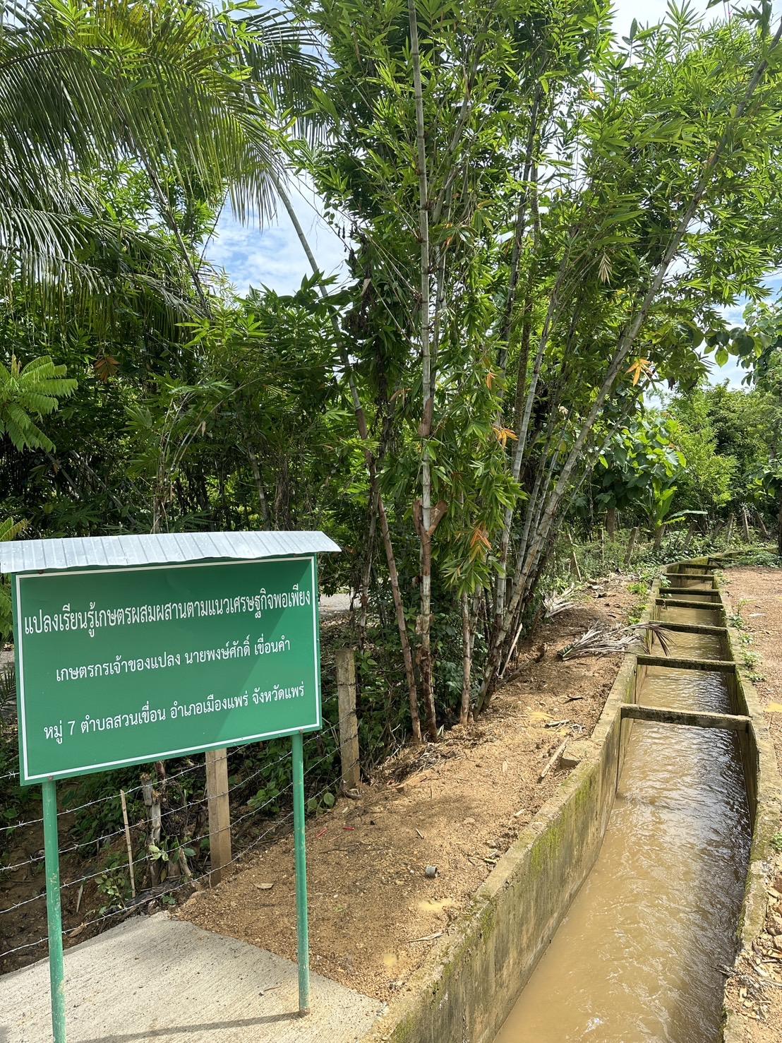 ภาพประกอบที่ 11