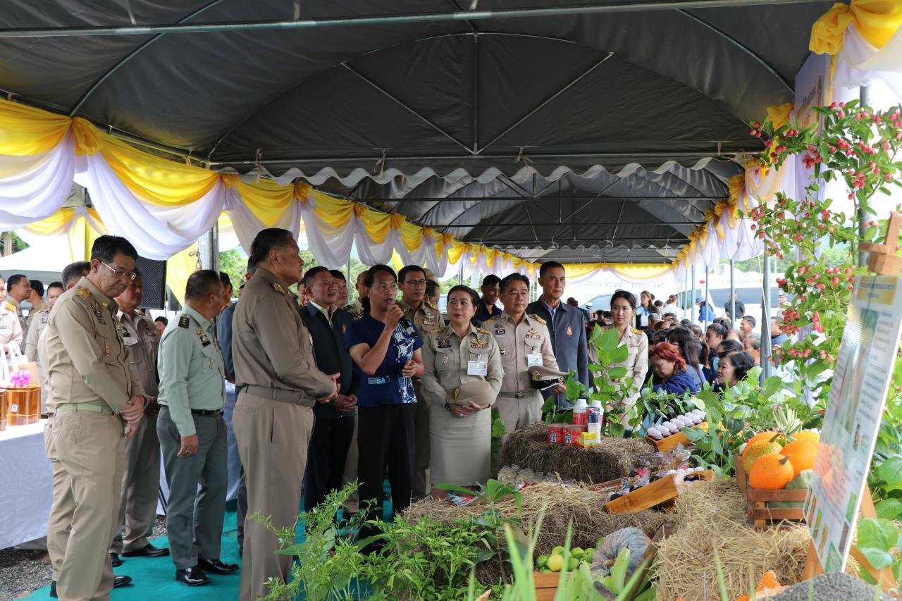 ภาพประกอบที่ 8