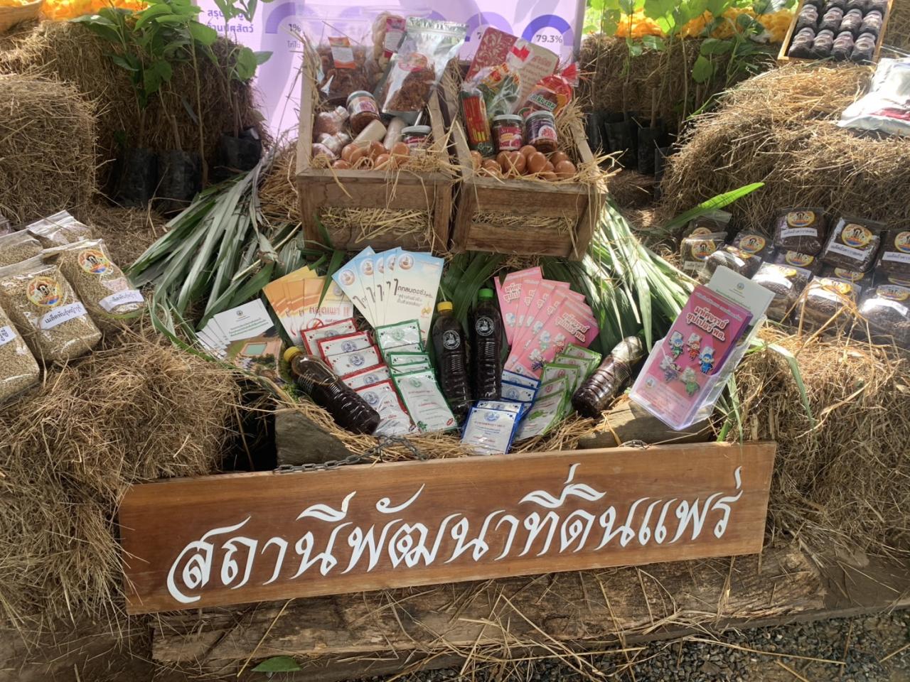 ภาพประกอบที่ 3