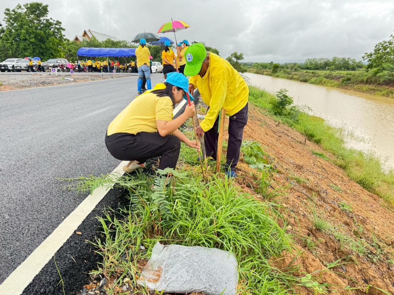 ภาพประกอบที่ 3