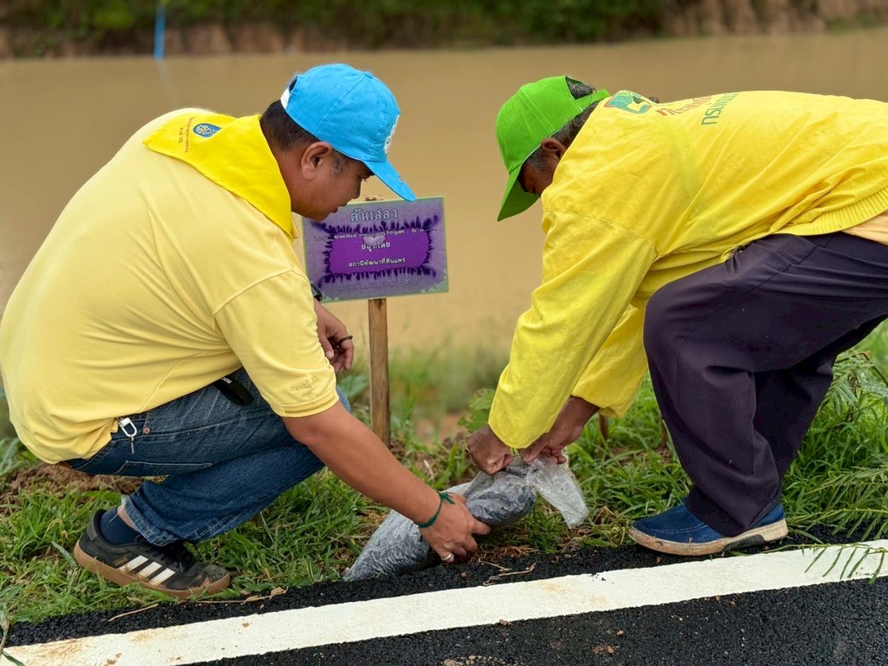 ภาพประกอบที่ 4