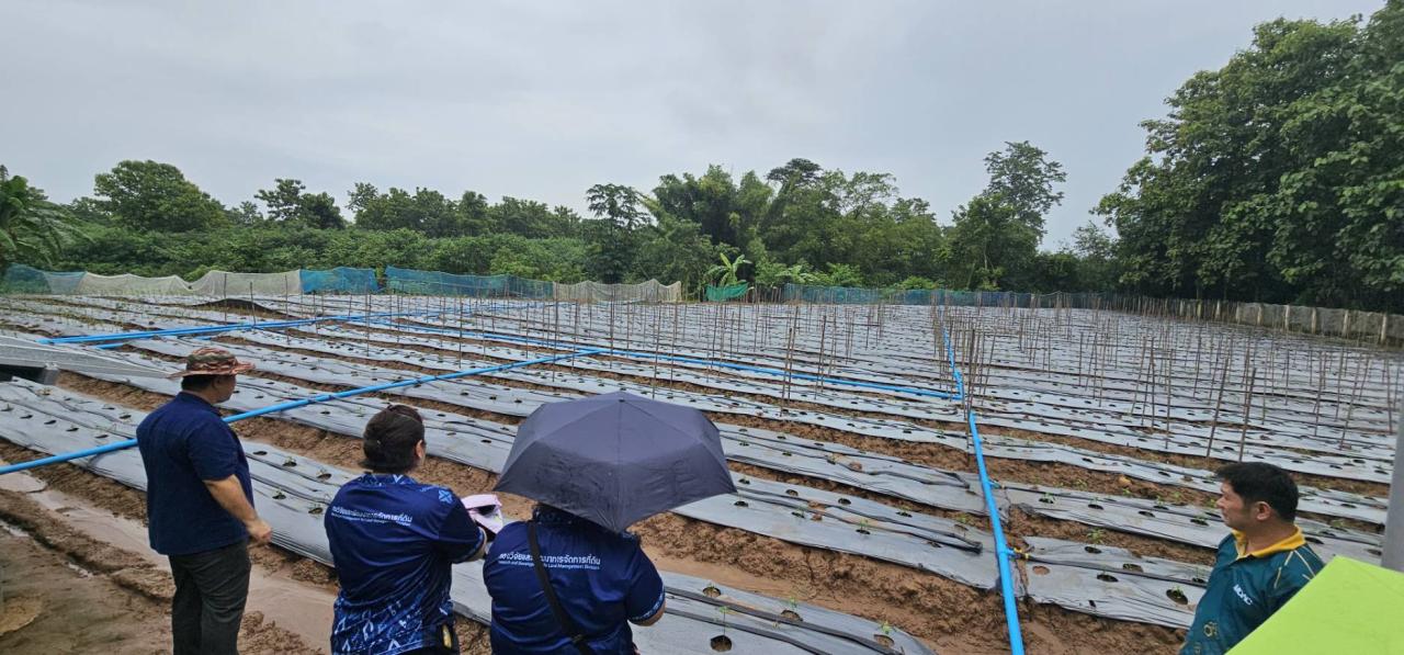 ภาพประกอบที่ 6