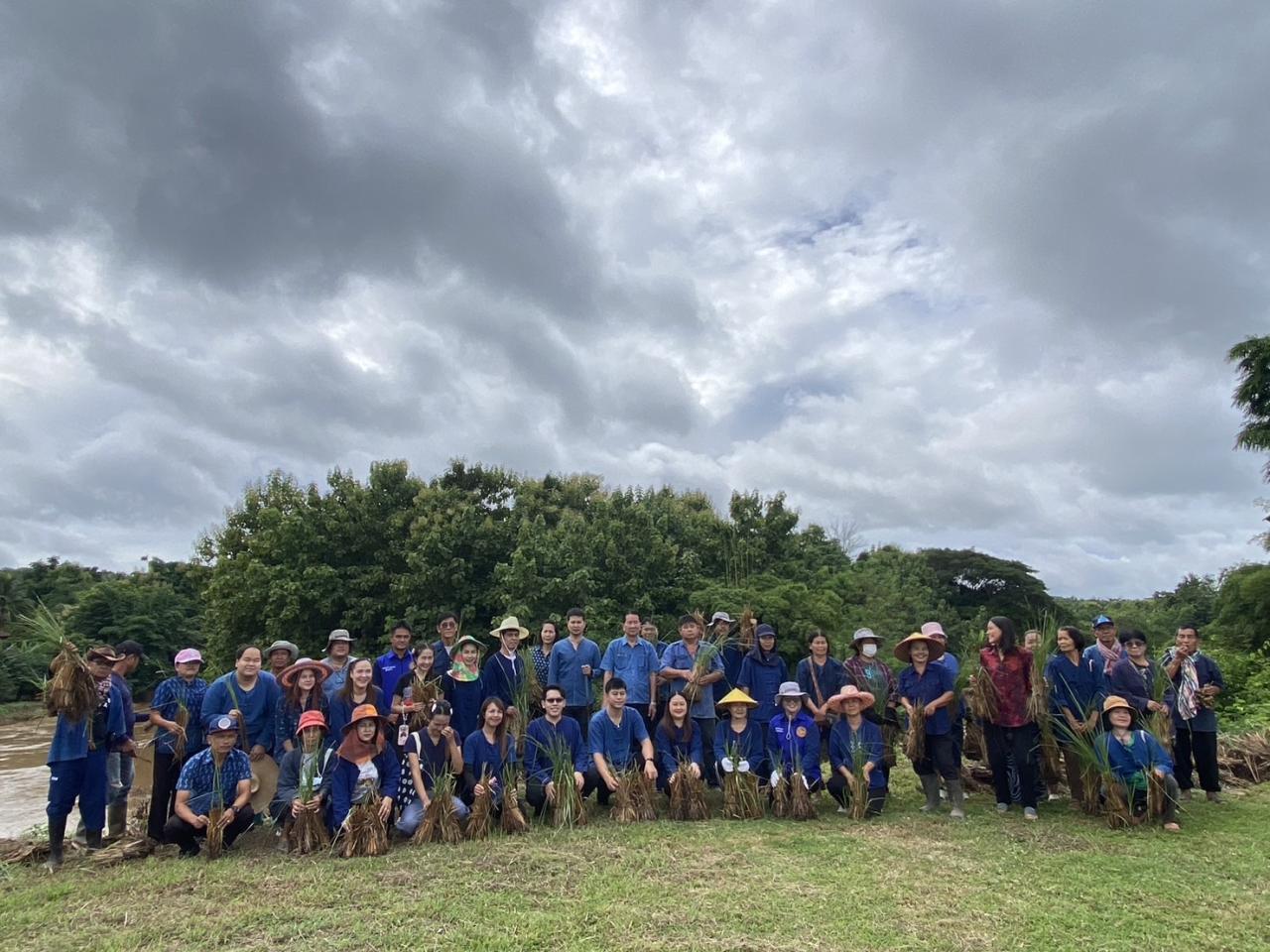 ภาพประกอบที่ 1