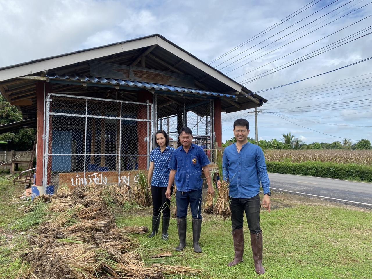 ภาพประกอบที่ 2