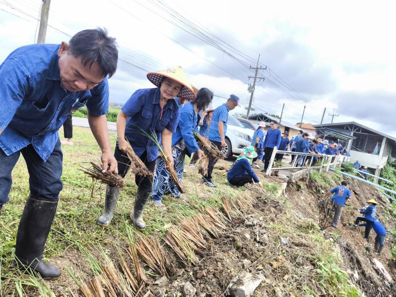ภาพประกอบที่ 4