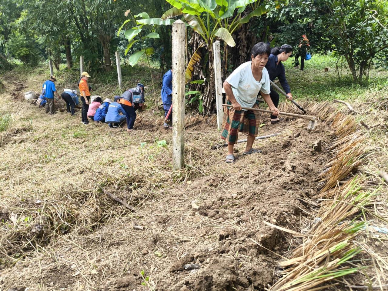 ภาพประกอบที่ 0