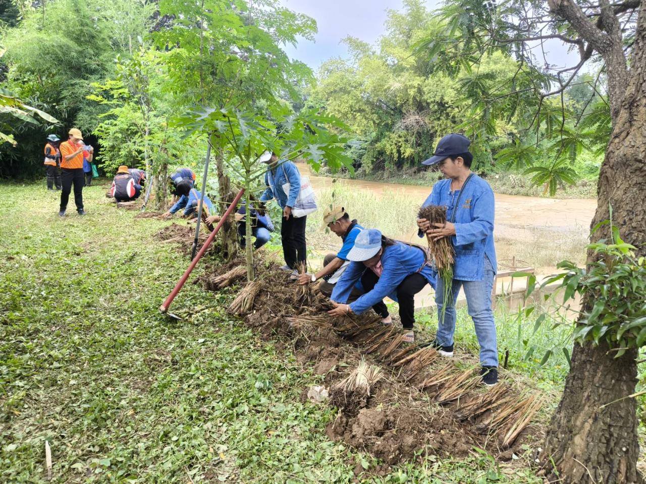 ภาพประกอบที่ 1