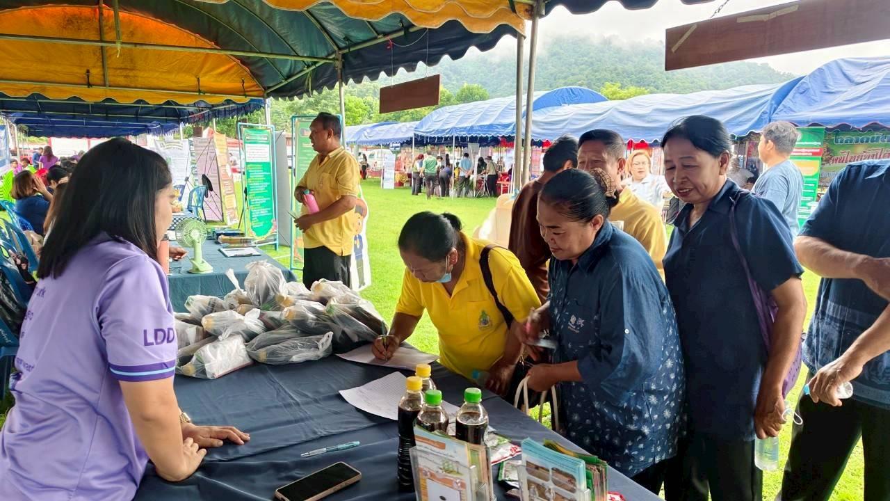 ภาพประกอบที่ 1