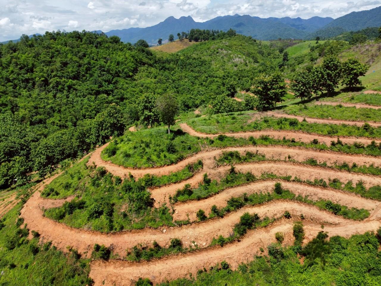 ภาพประกอบที่ 3