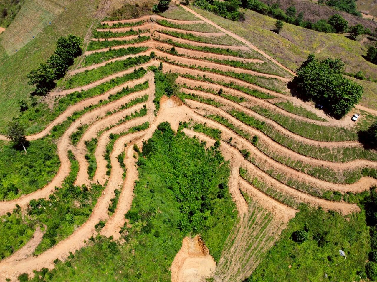 ภาพประกอบที่ 4