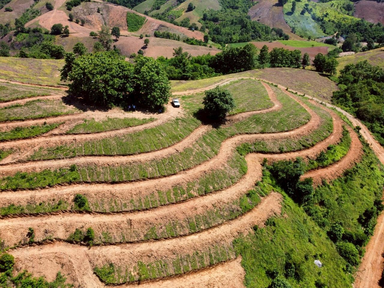 ภาพประกอบที่ 5