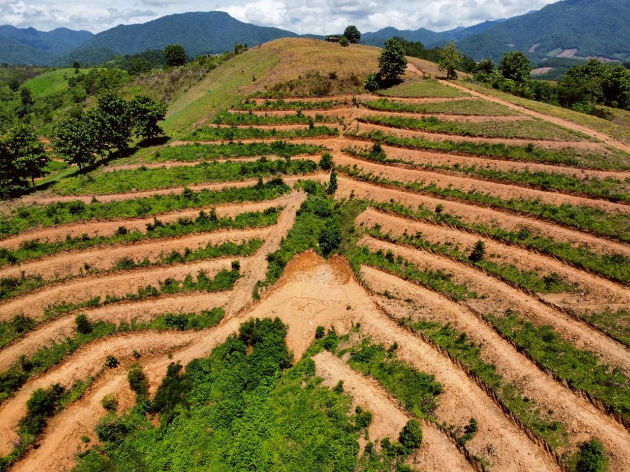 ภาพประกอบที่ 6